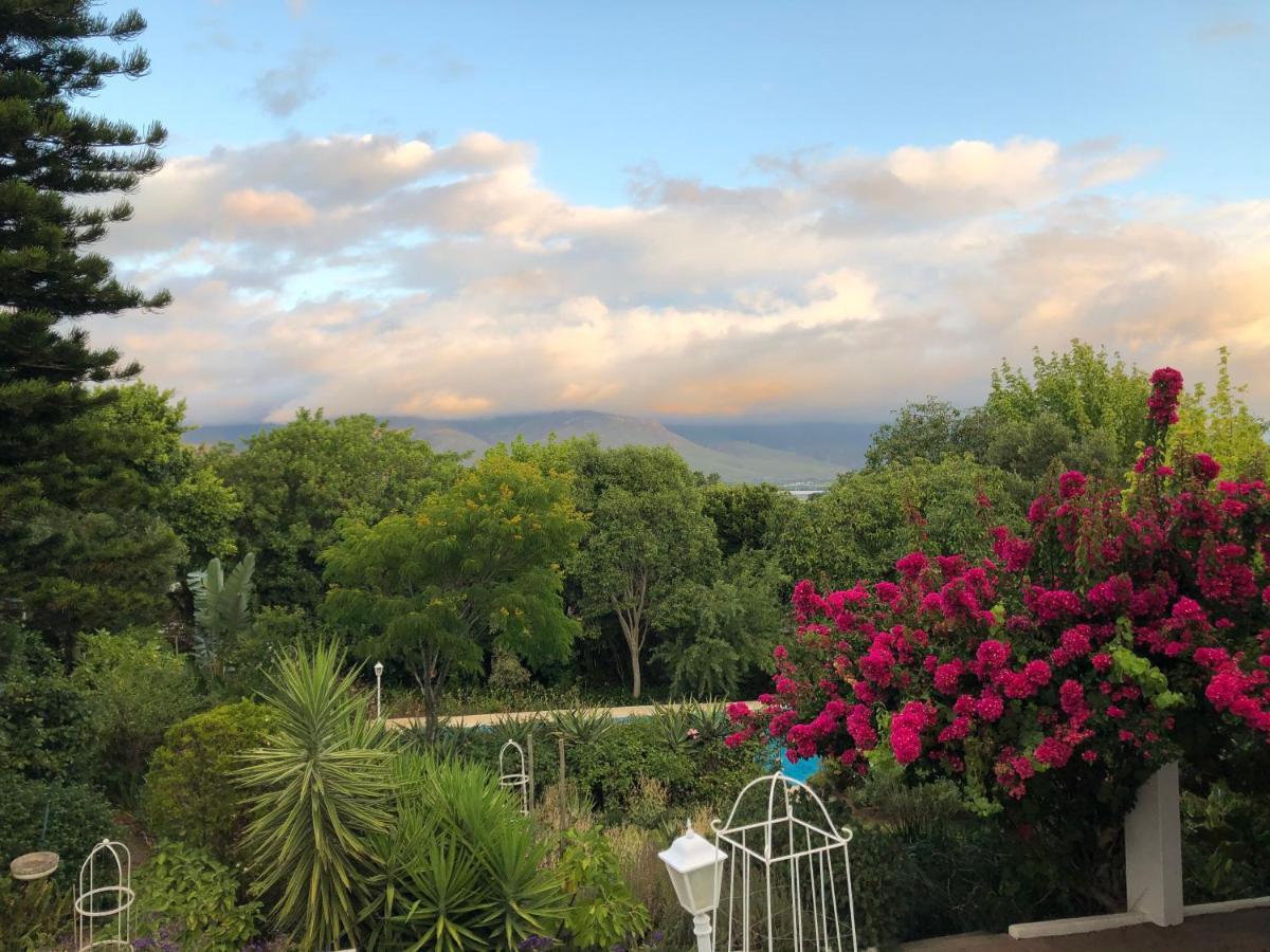 Alba House Guest House Paarl Esterno foto