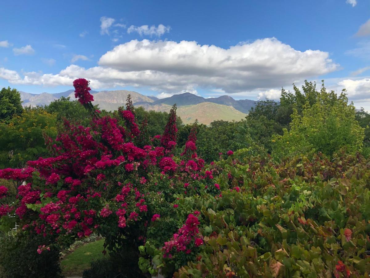 Alba House Guest House Paarl Esterno foto