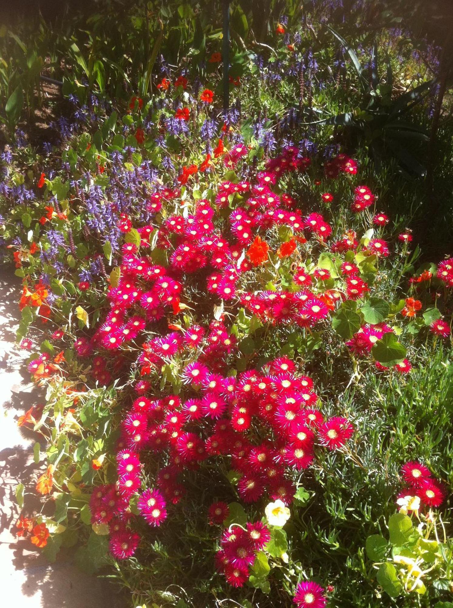 Alba House Guest House Paarl Esterno foto