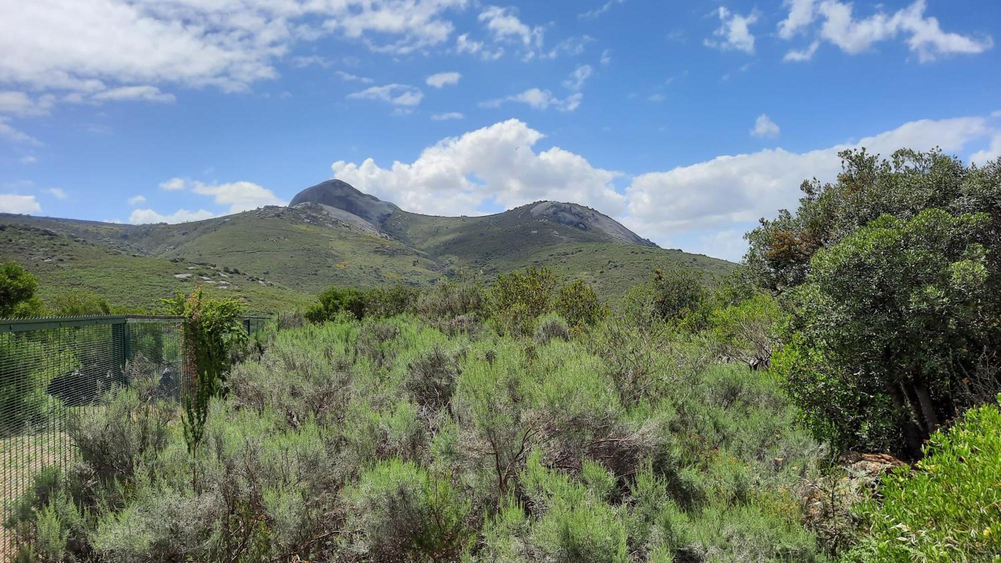 Alba House Guest House Paarl Esterno foto